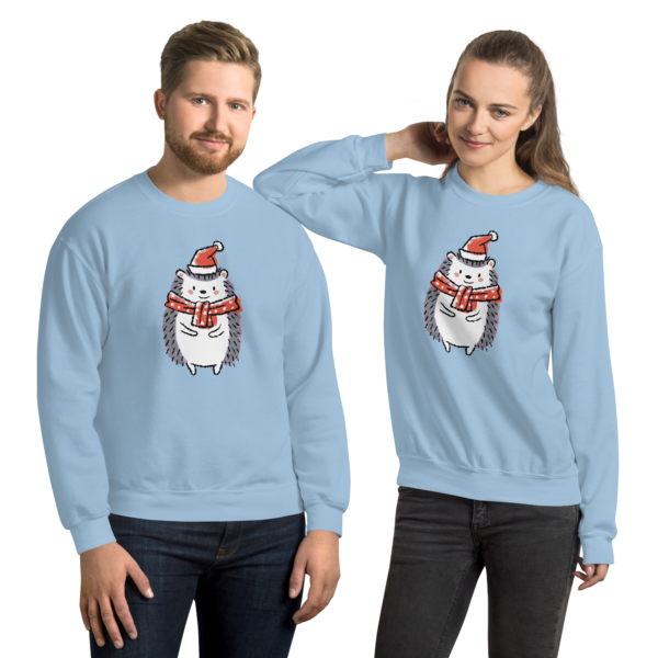 Unisex Sweatshirt "Winterigel" hellblau